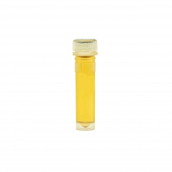 Honigtau-Mix in 2ml Futterröhrchen - 10 St.